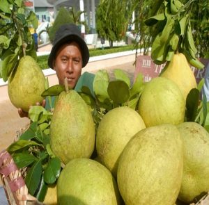 Thị trường trái cây Việt Nam đang rất rộng mở