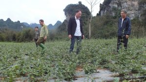 Tuyên Quang: Nông dân Lâm Bình thoát nghèo từ trồng cây dược liệu