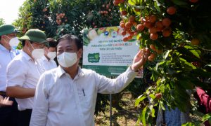 Bộ trưởng Lê Minh Hoan: Khi thấy cụm từ ‘giải cứu nông sản’, tôi đau lòng!