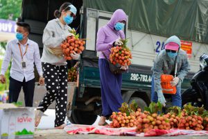 Đội nắng, xếp hàng mua vải ủng hộ nông dân Bắc Giang