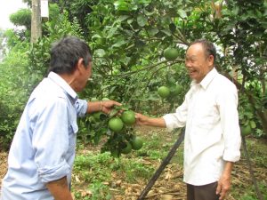 Già làng Văn luôn “đầu tàu” gương mẫu